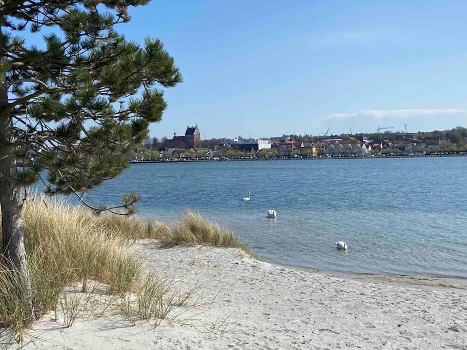 Seaview, Beach, Sunsets, Nature Heiligenhafen Buitenkant foto